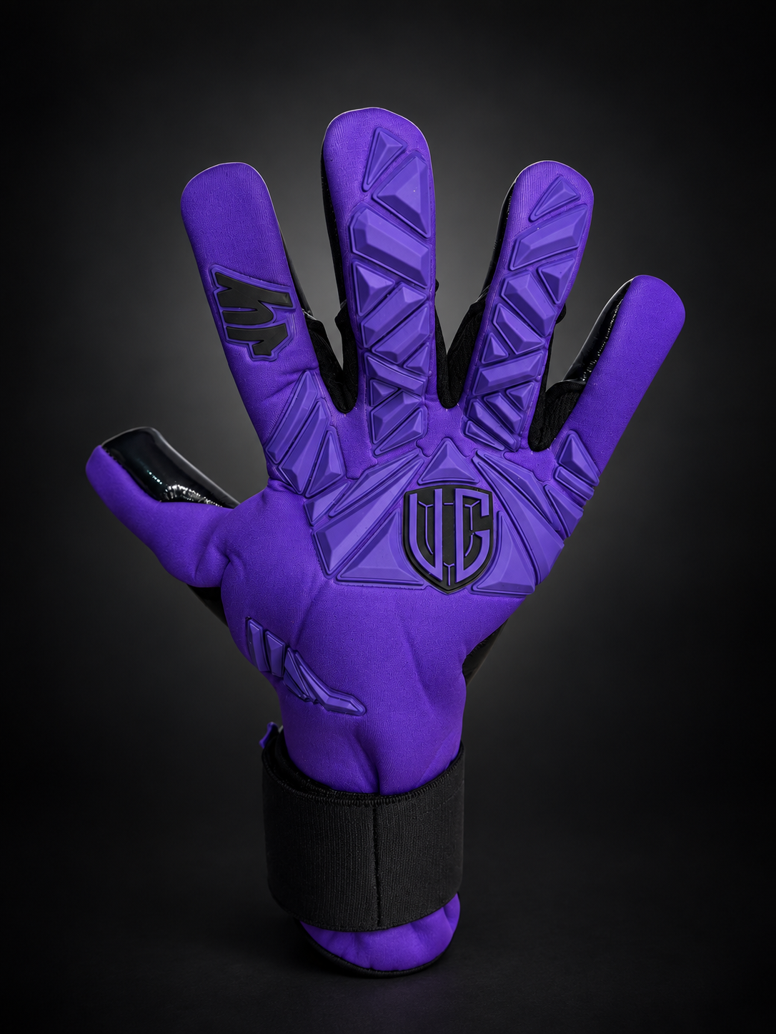 VG Champions Purple