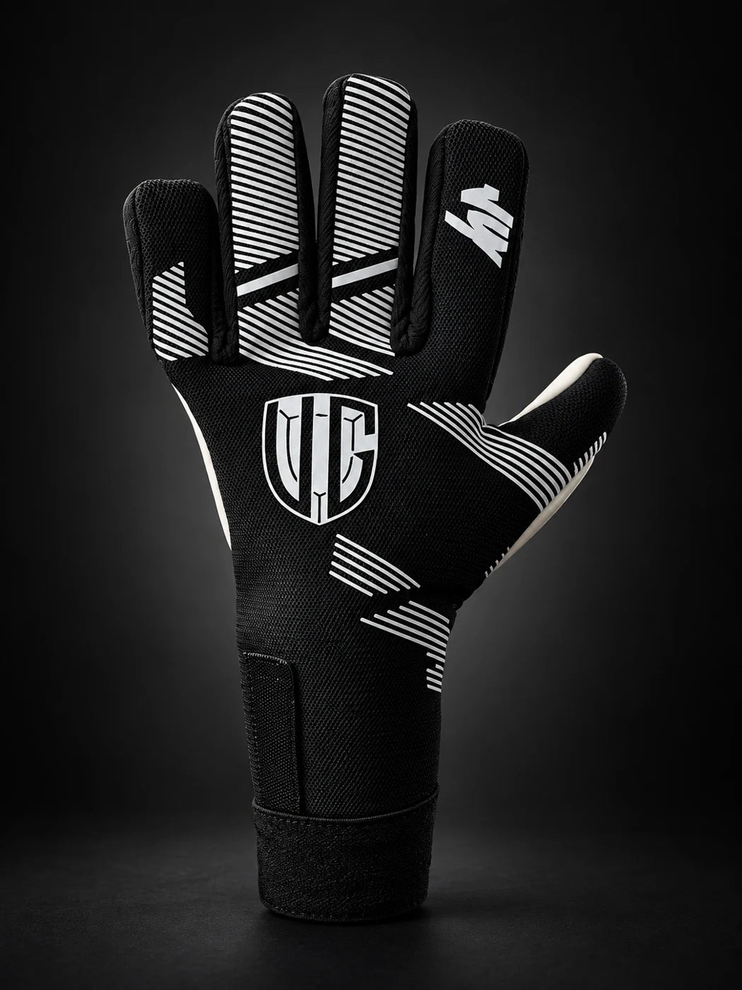 VG Air Evo Black White goalkeeper gloves, view 2