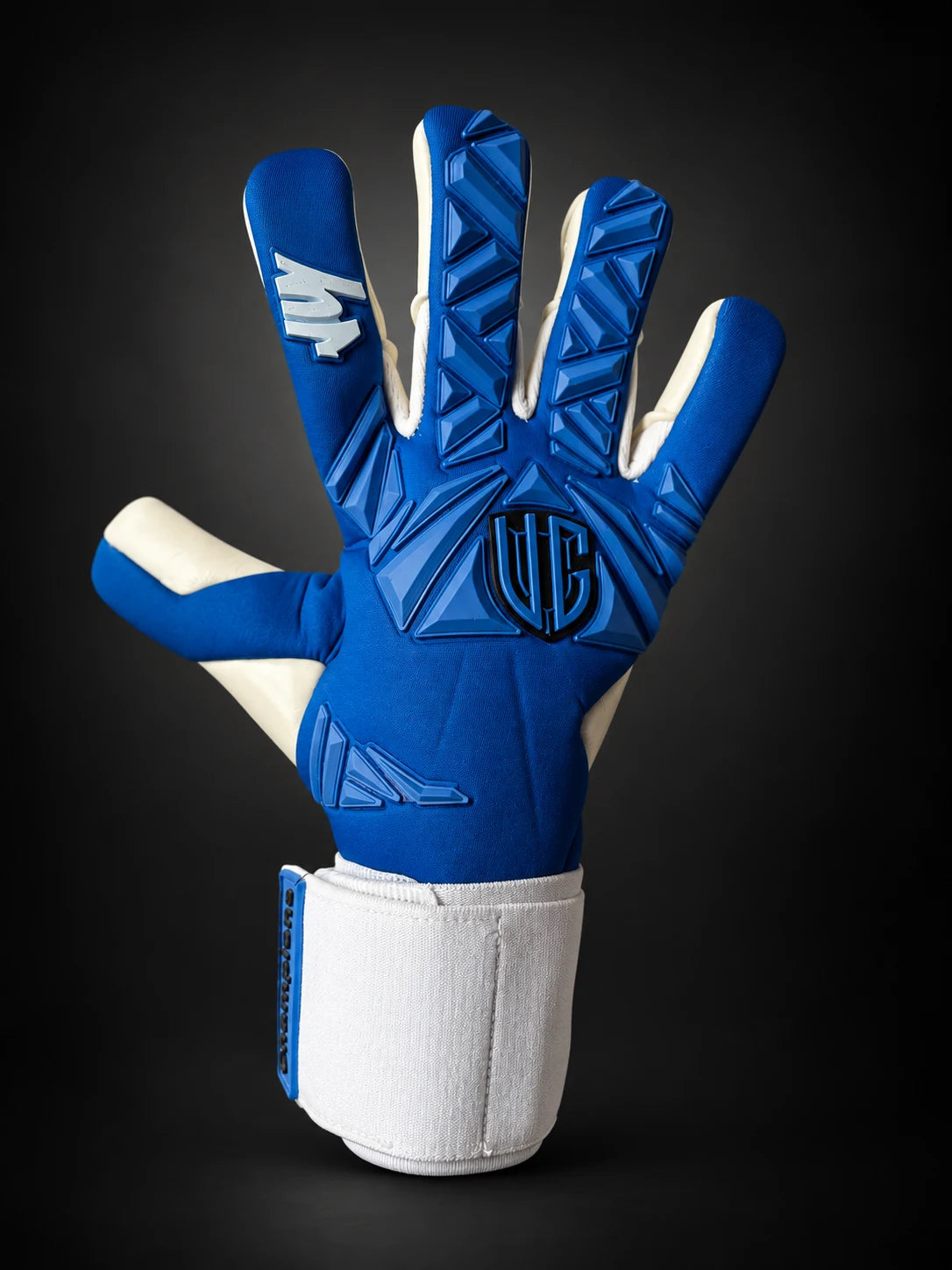 VG Champions Blue goalkeeper gloves