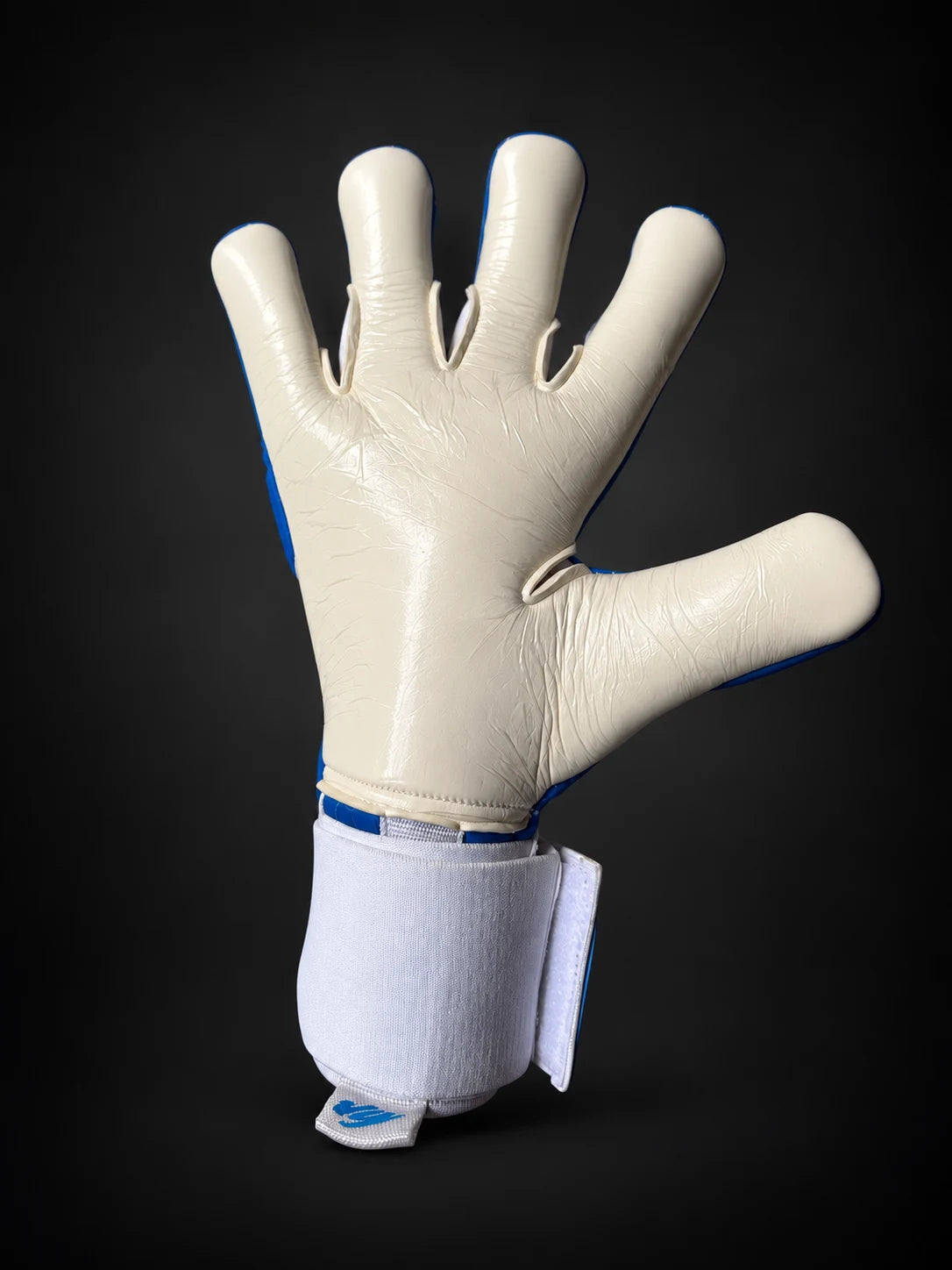 VG Champions Blue goalkeeper gloves, view 2